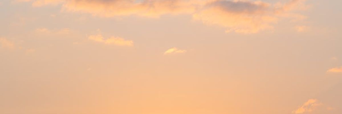Wide panoramic view of a peaceful zen garden at dawn.